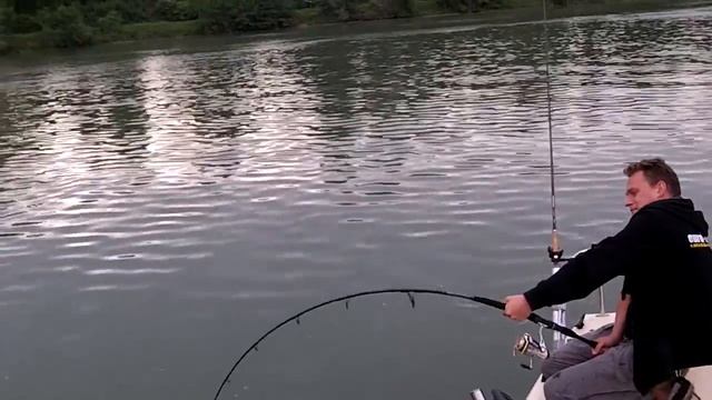 Ловля сома на квок. Вываживание трофейного сома смотреть онлайн