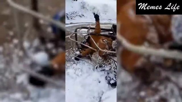 Зимние эпик фейлы и смешные моменты.