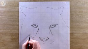 Как нарисовать Снежного Барса поэтапно / Снежный Барс Урок рисования