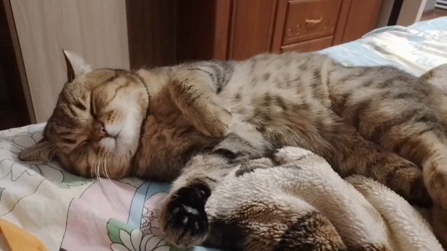 {поцелуй меня в последний раз как только сможешь♡} смотреть онлайн