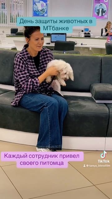 День защиты животных в МТБанке смотреть онлайн