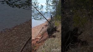 Заброшенная деревня