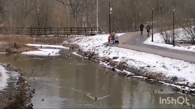 Прогулка по самому большому по протяженности парку М смотреть онлайн