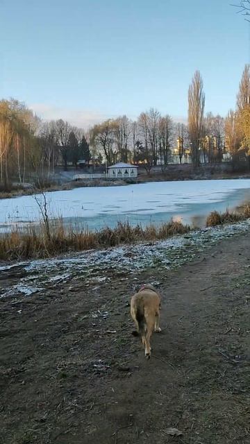 Астра та заморожений день смотреть онлайн