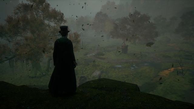 Hogwarts Legacy Живые обои Видео смотреть онлайн