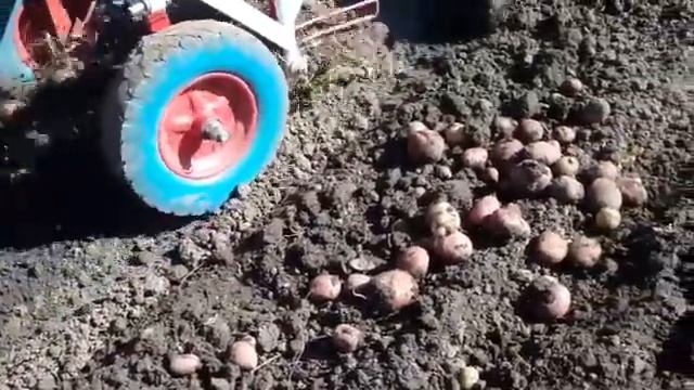 🔥Новый вариант картофелекопалки для мотоблока. 🔥 смотреть онлайн
