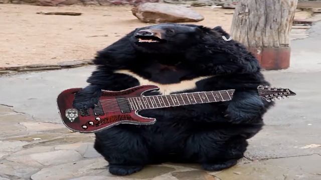 Музыкальные приколы лучшее смотреть онлайн