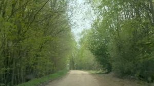 Старый хутор, новые домики. Такого весной никогда ♂️не было. #хочувдеревню #хутор