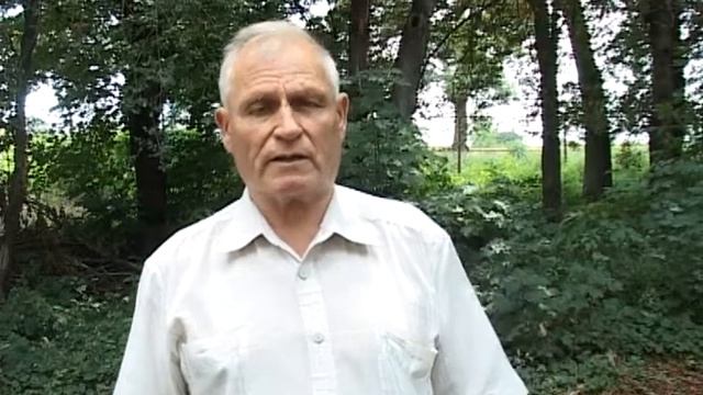 С Днем строителя! смотреть онлайн