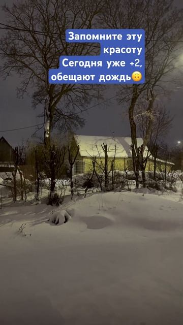 Зиме конец!#приветизэстонии #обзорсемян #зима #огород # смотреть онлайн