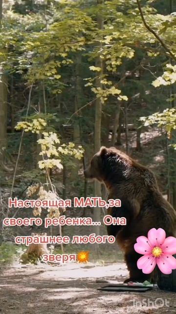 video-output-6178C2FF-3967-4C9B-B4F9-6EBDF11E6ACD-1 смотреть онлайн