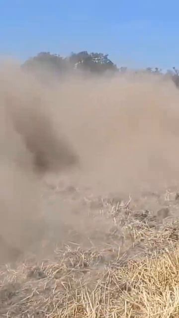 Борона дисковая АгроСпецМаш #farming #сельскоехозяйство # смотреть онлайн