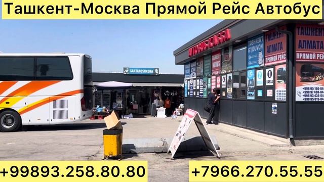 Ташкент-Москва Автобус Прямой Рейс #ташкент #москва #а? смотреть онлайн
