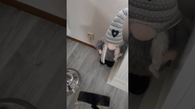 Моя лучшая паровая швабра Kärcher. смотреть онлайн