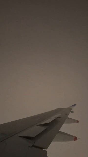 UZBEKISTAN AIRWAYS посадка во Внуково! смотреть онлайн