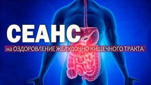 Сеанс на оздоровления ЖКТ (желудочно кишечного тракта)