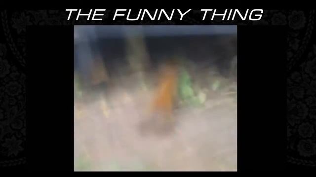 Смешные видео Приколы лучшие приколы над людьми Ржач Приколы над девушками ч 21 смотреть онлайн