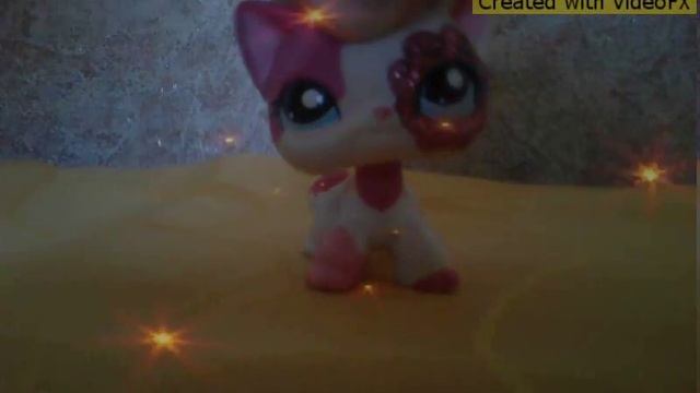 Признания в любви ( Кот Нуар и Леди Баг)