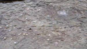 Писающие мальчики