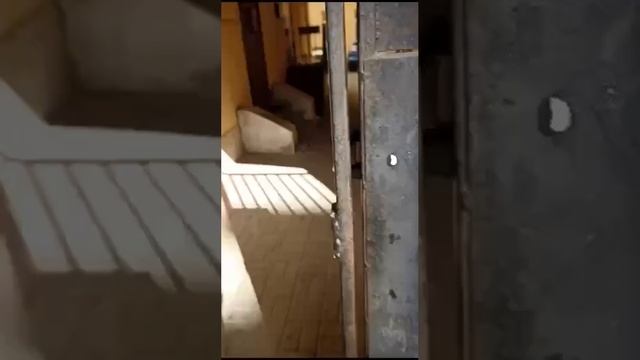 вход Некрасова 25 смотреть онлайн
