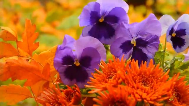 ИМЕНИННИКИ!С Днем Рождения смотреть онлайн