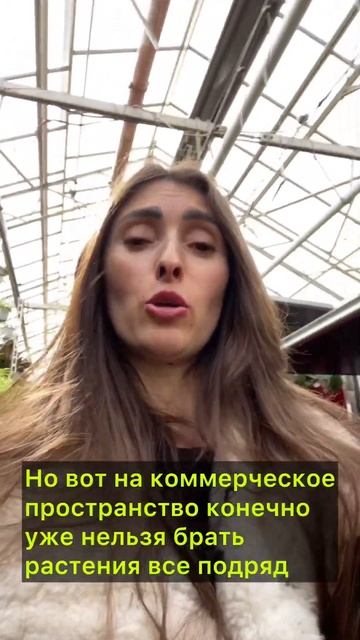 Какое растение выбрать? #озеленение #комнатныерастени смотреть онлайн