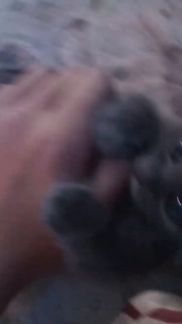 растет борец 3часть смотреть онлайн