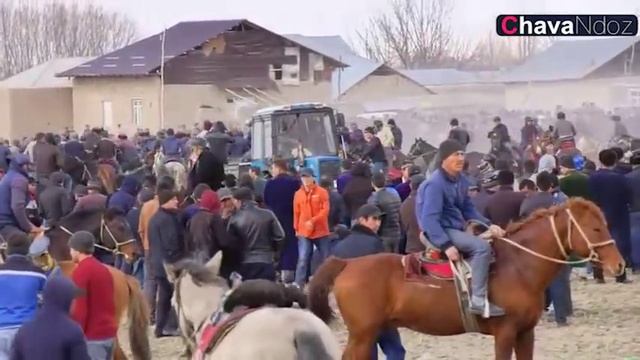 09 02 2020 TO'LQIN DOlIYEV Full Versiya смотреть онлайн