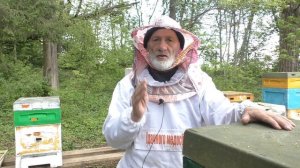 Холодный май, жди рои