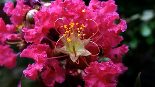 Самые лучшие русские песни и видео онлайн смотреть онлайн