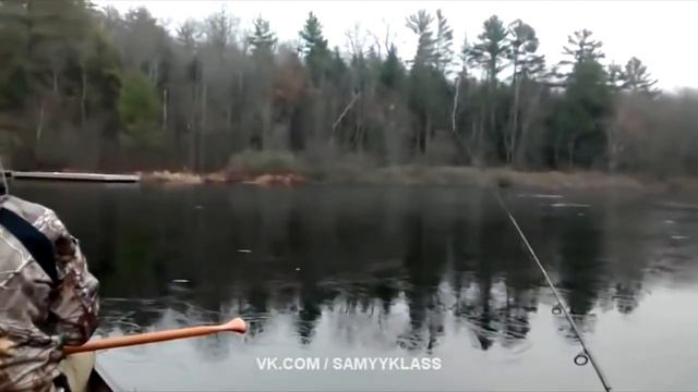 ЛУЧШИЕ ПРИКОЛЫ SAMYY KLASS ВЫПУСК 251 смотреть онлайн
