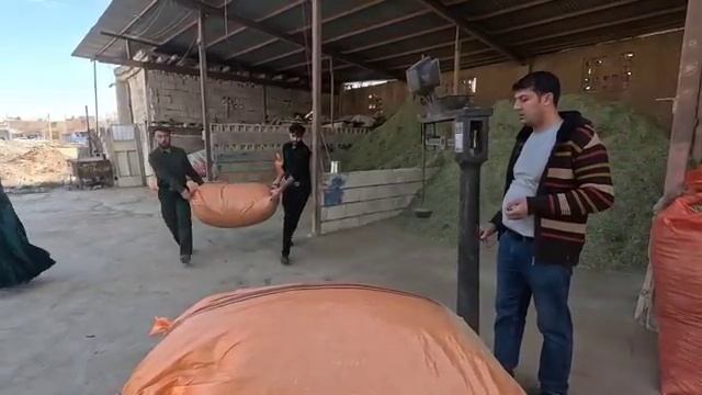 03.02.2025 🪁Счастье Хамида и Сами в городе игр и покупка необходимых принадлежностей от Тайябы смотреть онлайн