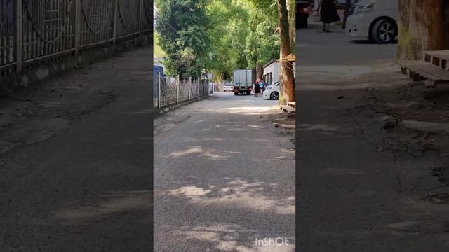 Поход в магазин из пансионата Сосновая Роща 07.08.2024 смотреть онлайн