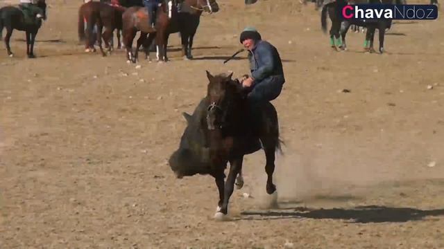 12 11 2021 YIL URGUT KO'PKARI TURSUNOV SALOHIDDIN BUNYODKOR MAHALLASIDA смотреть онлайн