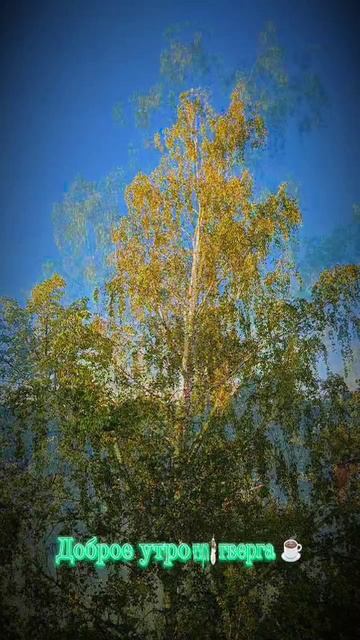 Доброе утро четверга ☕ смотреть онлайн