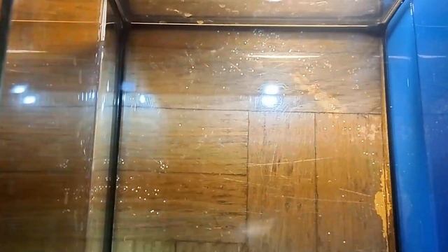 Результаты нереста! Пересадка и уборка у мальков