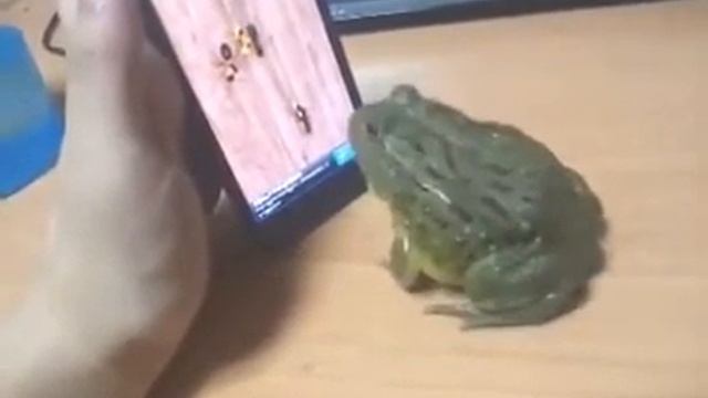 Прикололись! смотреть онлайн