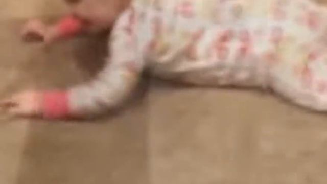 ПРИКОЛ 228 смотреть онлайн