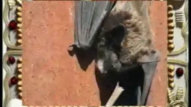 Загадка смотреть онлайн