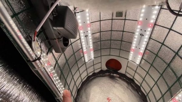 Гроубокс Микро-2023 от Growtube. Вместо системного блока.