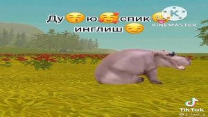WildCraft тик ток 💕