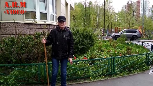 ПТИЧКУ ЖАЛКО смотреть онлайн