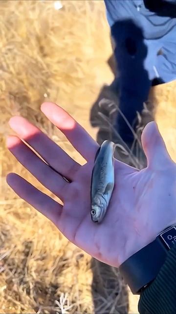 Рыбалка как Лотерея. #юмор