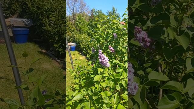 НИКОГДА В ЖИЗНИ НЕ ЕМ ЭТИ 3 ПРОДУКТА СОЗНАТЕЛЬНО! Спаси смотреть онлайн