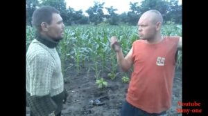 молдавские приколы   Pricoale Moldovenesti