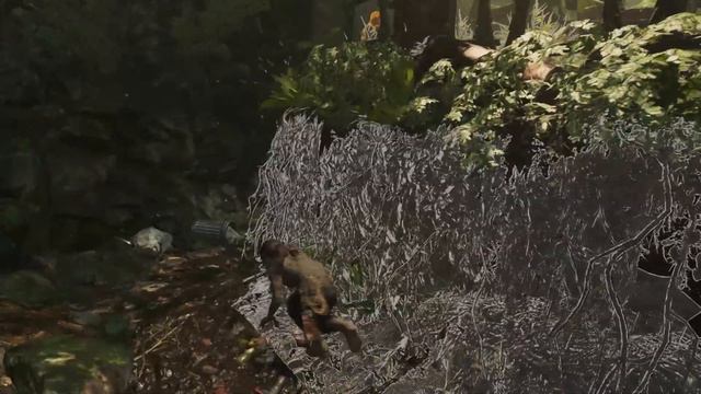 Прохождение игры - Shadow of the Tomb Raider - Часть 3