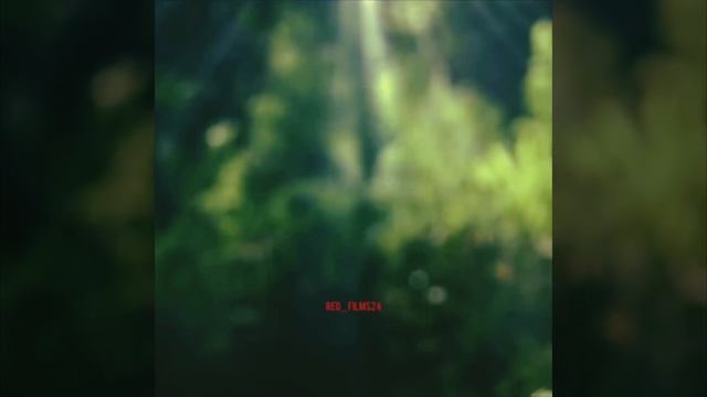 У девушки родился невидимый ребенок😱Фильм:🍿Мой анг? смотреть онлайн