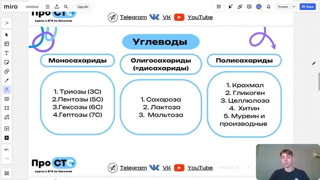 Биохимия клетки (органические вещества) | Курсы к ЕГЭ п