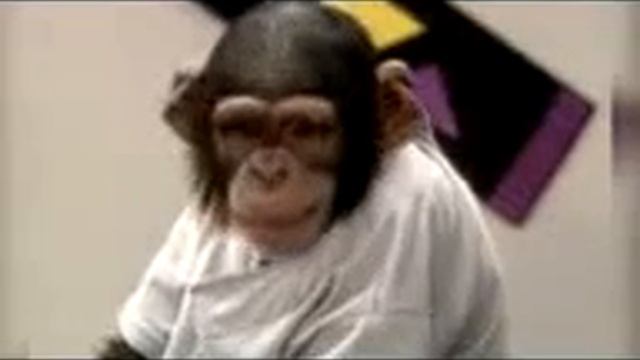 Жоский прикол сладкий поцелуй смотреть онлайн