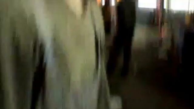 Приколы СТО 3 смотреть онлайн